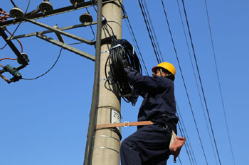 光缆技术全解析 从结构到应用的全面指南